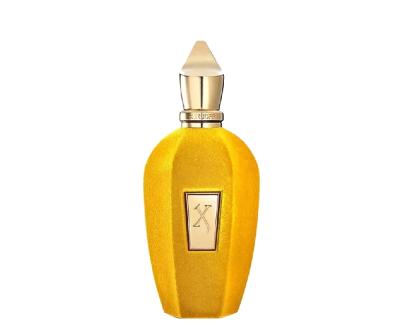  XERJOFF Erba Gold 100ml Unisex Tester Parfüm