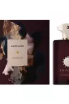 Amouage Boundless Orjinal JLT