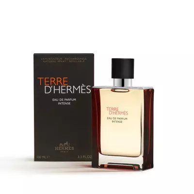 Terre D Hermes Eau De Parfum Intense 100ml Orjinal JLT