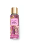 Victoria's Secret Autumn Blossom 250 mL